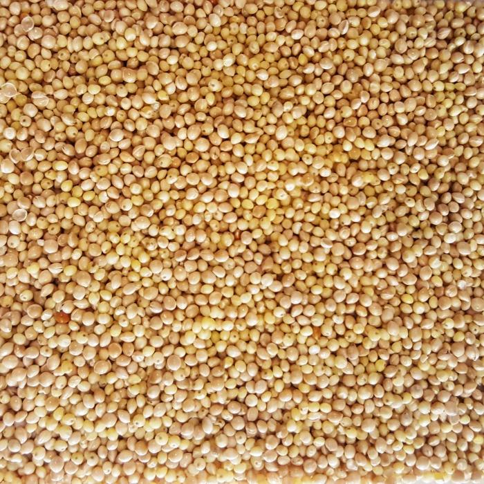 Quinoa Blanc Picard 450g