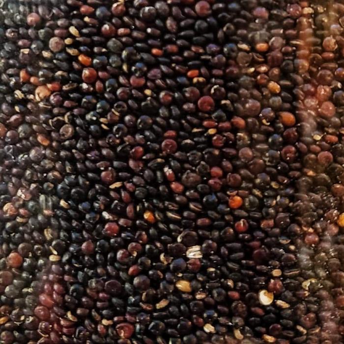 Quinoa Noir 450g